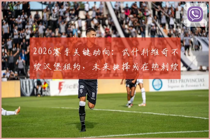2026赛季关键动向：武什科维奇不续汉堡租约，未来抉择或在热刺续约与豪门转会之间